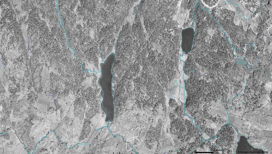 Topografi og landskapskomponenter Terrenget i planområdet er kupert.