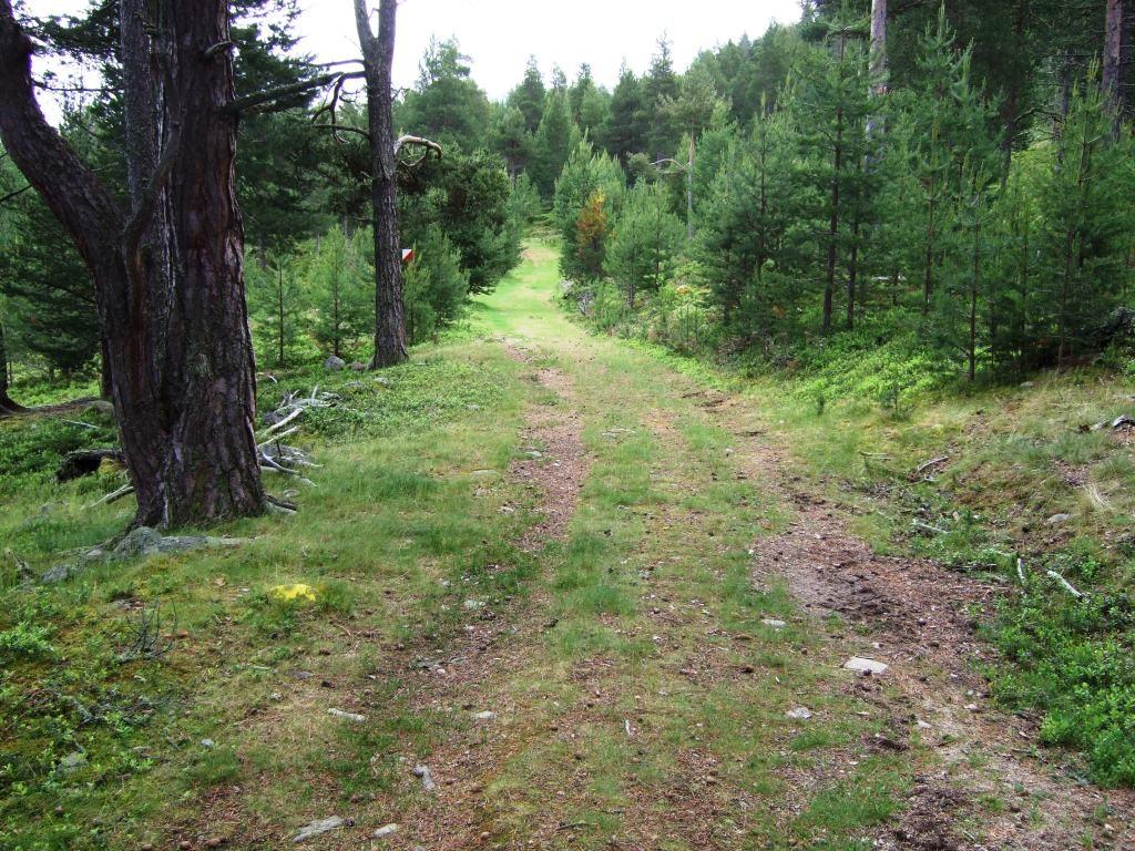 Langs strandlina som Nedre Floten er ein del av, er det lett terrengsykling om lag 15 km