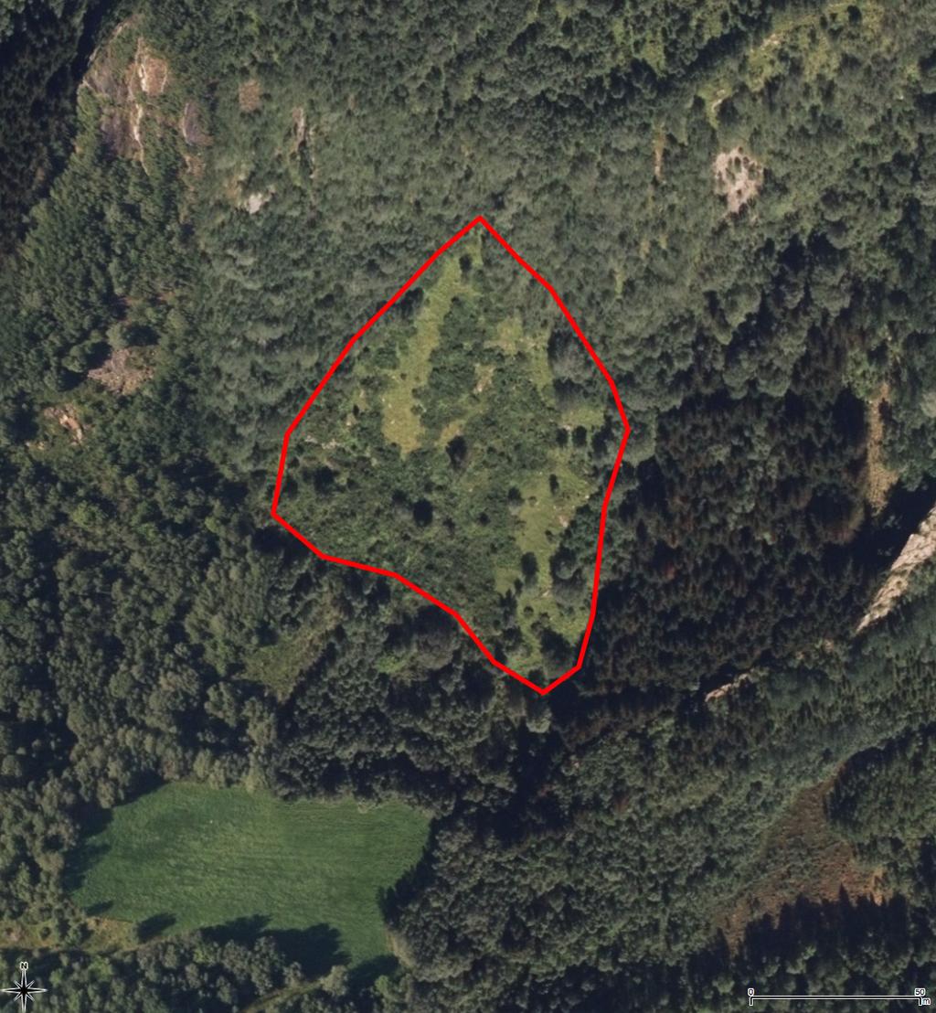 Ortofoto/kart Flyfoto som viser avgrensningen