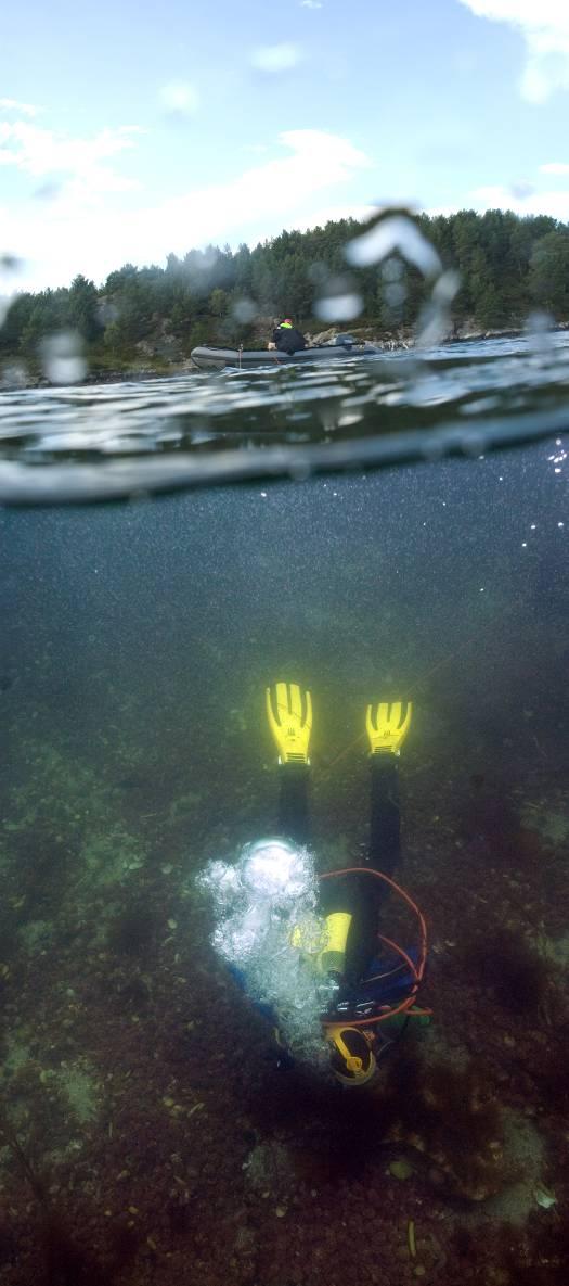 5. METODIKK Undersøkelsene ble gjennomført av dykkere med kommunikasjon til overflaten (Fig 1). Tiltaksområdene ble visuelt besiktiget av dykkerne.