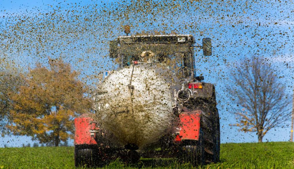 Knelere kan skade norsk biologisk mangfold En vurdering av risiko for uheldige følger for biologisk mangfold ved import og hold av fremmede landlevende edderkoppdyr og insekter, viser at 50 av artene