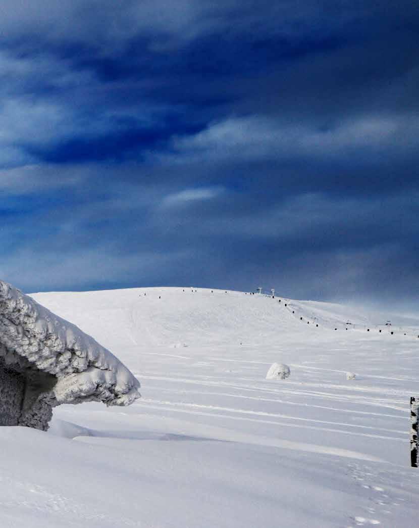 Prospekter kan være mangelfulle. Lovpålagte opplysninger iht. opplysningsplikt kan man få direkte fra selger. TOMTETYPE Eiet tomt TOMTEAREAL Fra 734 til 1 838 m 2 PARKERING På egen tomt.