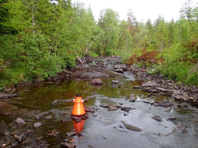 Fra Røyrlielva oppstrøms fossen. Foto: Aslak D.