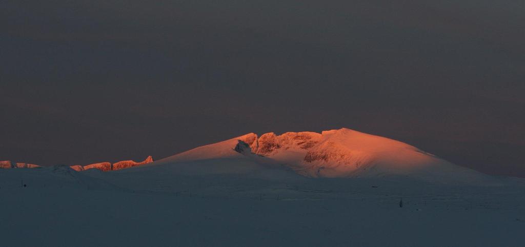 Det hele fjellet