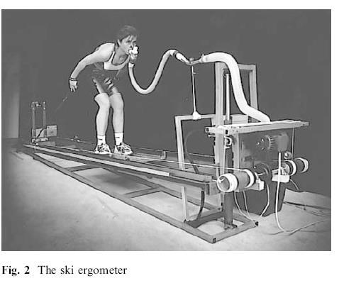 Hoff J, Gran A and Helgerud J. Maximal strength training improves aerobic endurance performance.