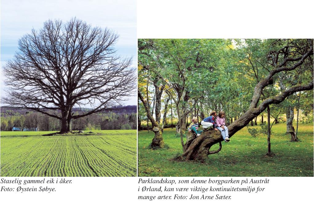 Forskjellige typer kulturlandskap Referanser Bildene og teksten er hentet fra DN Håndbok 13: Kartlegging av naturtyper - verdisetting av biologisk mangfold Kulturlandskap, særlig aktuelle Typen