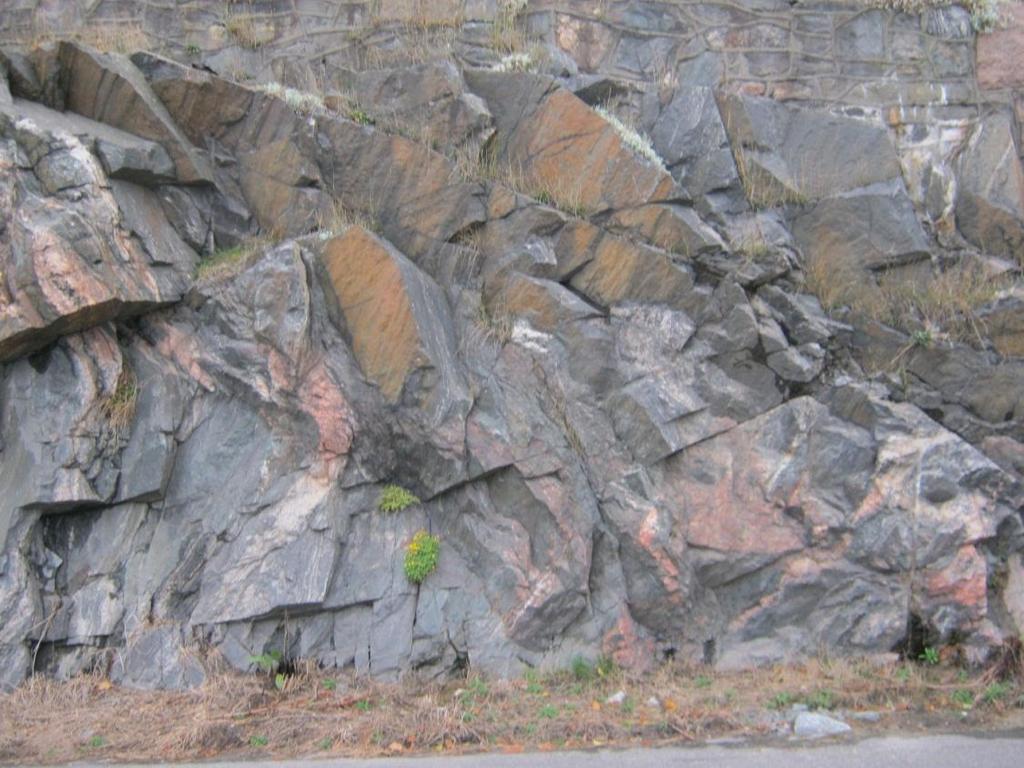 8 GEOLOGISK VURDERING RAPPORT MULTIKONSULT - TREDJEPARTSKONTROLL Figur 1: Fjellskråning Nordvest fra Pharos vei (adkomst gangtunnel under veien) 2.