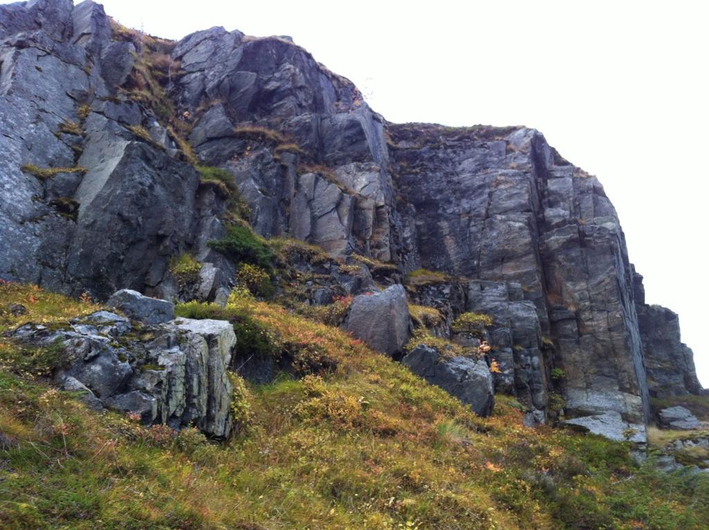 (35) Figur 4: Bergmasse i påhugget ved Elvetun som er preget av steile sprekkeretninger.