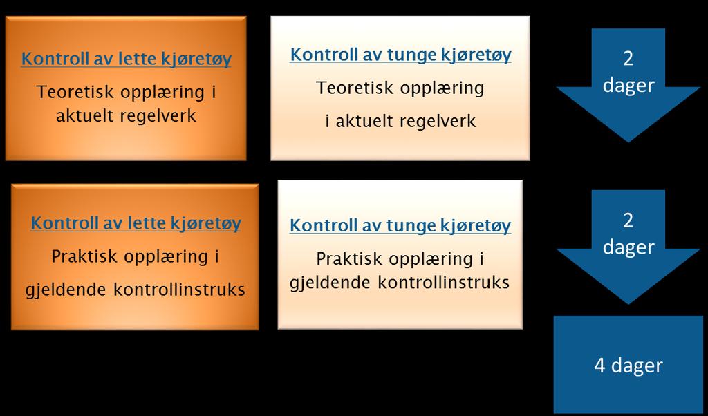 Mer om grunnopplæring - «tilpasset grunnopplæring»