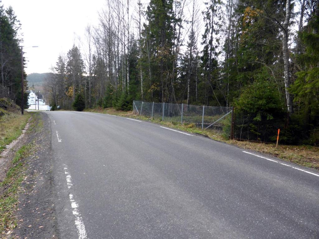 Figur 3. Losbyveien går tett på dammen som ligger på en høyde i terrenget. Alle eller de fleste salamandere som krysser veien vil sannsynligvis bli overkjørt.