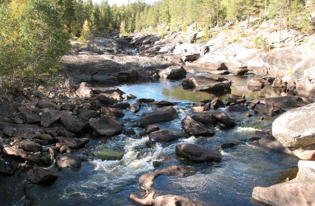 Figur 6-4 Skogsåa sett fra bro ved Elgvad på lav vannføring (0,57 m 3 /s).
