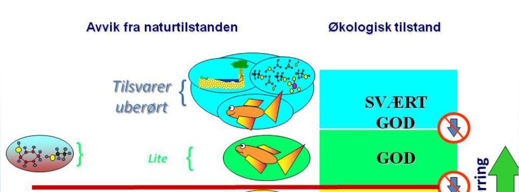 Miljømål settes som avvik fra naturtilstanden