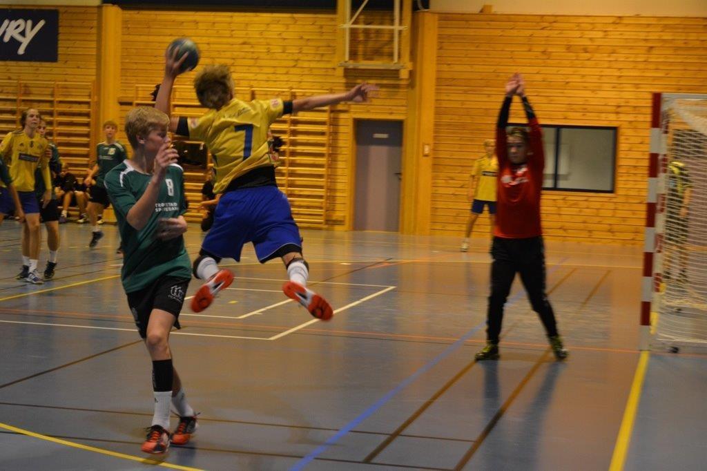 DEL 4: HANDLINGSPLAN UNGDOMSHÅNDBALL PERIODEN