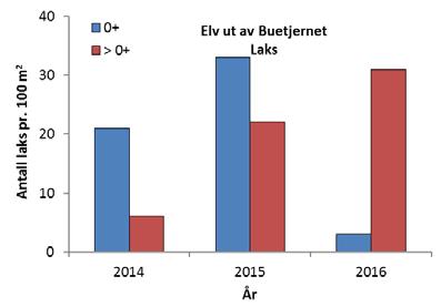 3.5.6 Elv ut av Buetjernet Det ble registrert relativt mange lakseunger, men ikke så mange aureunger på stasjonen i elven ut av Buetjernet i perioden 2014-2016 (Figur 11). Figur 11.