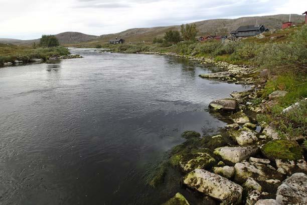 I elven ut av Buetjernet har det i siden 2014 blitt registrert laks og aure (både årsunger og eldre) og eldre røye. Elven er viktig for produksjon av fisk og er ca. 380 meter lang. 3.5.