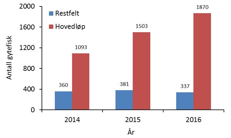 3.8 Gytefisktelling Resultatet fra gytefisktellingen i Kongsfjordelva som ble gjennomført i årene 2014, 2015 og i 2016, er vist i tabellene Tabell 4, Tabell 5 og i Figur 13.