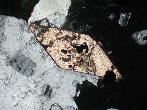 10 Hvordan finner du ut, ved hjelp av et polarisasjonsmikroskop, at et mineral i ditt tynnslip er optisk isotropt? 11 I et optisk mikroskop viser mineralet nedenfor en godt utviklet krystallform.