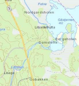 Planbeskrivelse - reguleringsplan for reinvestering av fv247 Hov - Hasvoldseter 39 Naturmangfold og naturressurser Søk i Naturbase viser at det er det ligger to