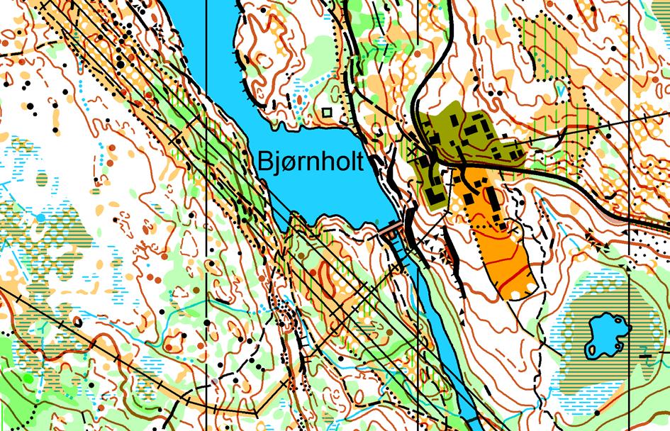 Vanskelig lesbare områder på kartet Felles for mellom og lang løype Mellom og lang skal passere over demning i sørenden av Bjørnsjøen og deretter følge sti mot Bjørnholt.