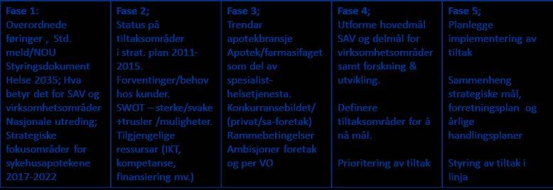 4 Milepælar og fasar i arbeidet Arbeidet er planlagt i fem fasar med ulike tema for arbeidet: Det er sett opp fire milepælar for arbeidet.