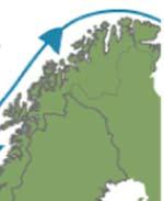2008), men stadig nye forbindelser er påvist i sjøfugl (Verreault et al. 2007a). I Oslofjorden er det funnet høye verdier av BRF i egg hos makrellterne.
