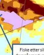 Utover de tradisjonelle fiskeriene jaktes det