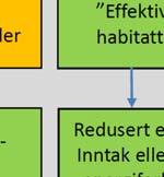 konfliktpotensialer mellom sjøfugl og