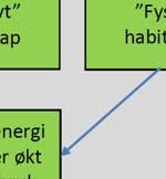 vindmøllers virkning på fugl (Drewitt