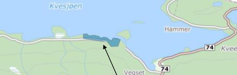 1.3. Kvesjøen Det er kommet innspill om detaljregulering av et areal på sørsiden av Kvesjøen (v/storøya), i enden av eksisterende skogsbilvei.