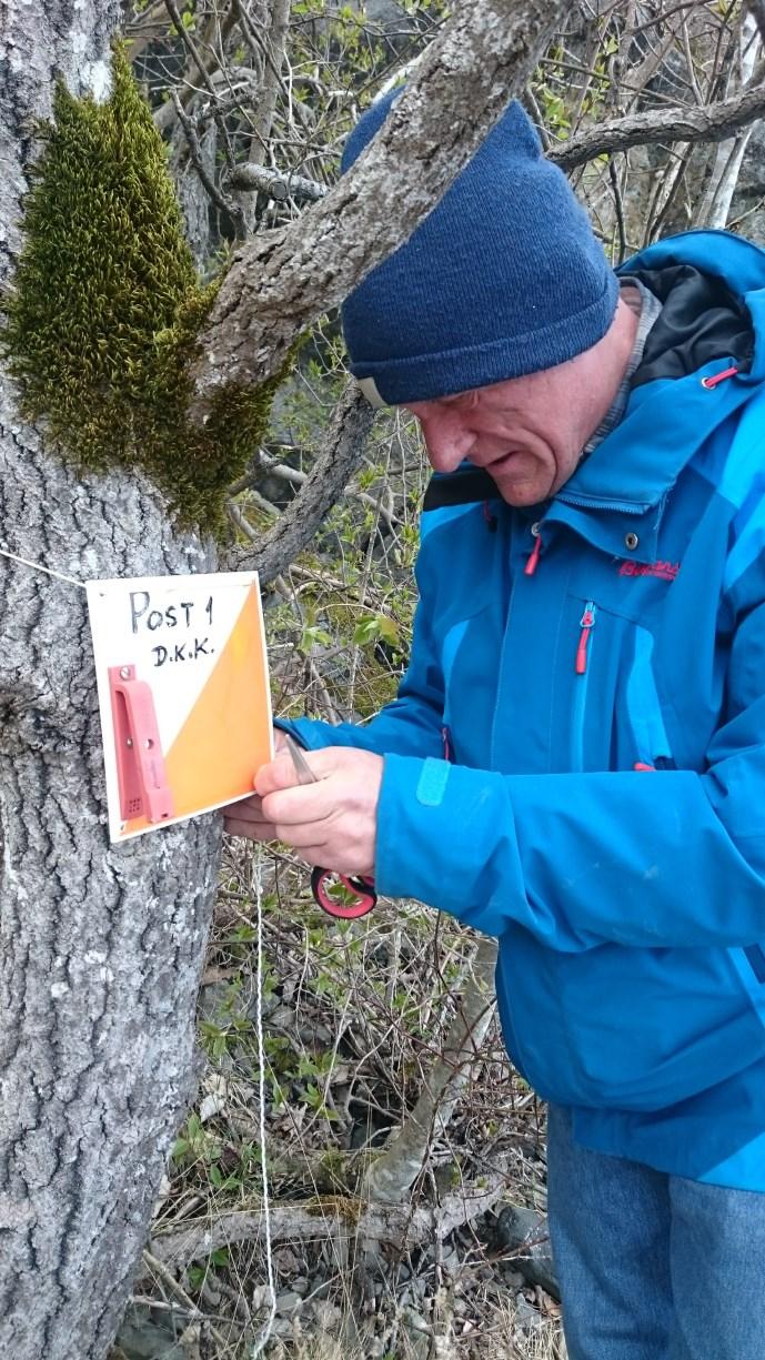 I bukta er det en naturtype som heter "Bløtbunnsområder i strandsonen".