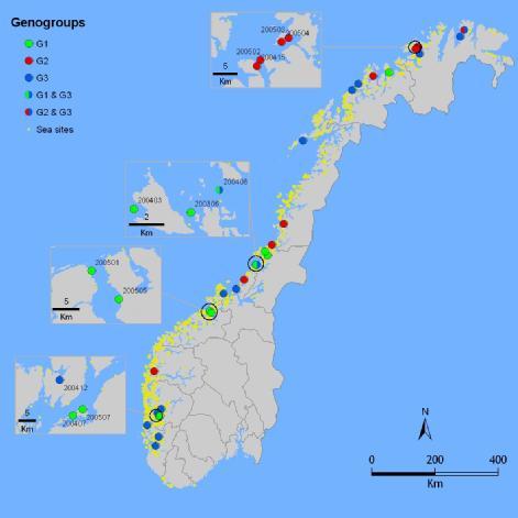 Resultater ILA utbrudd 2003