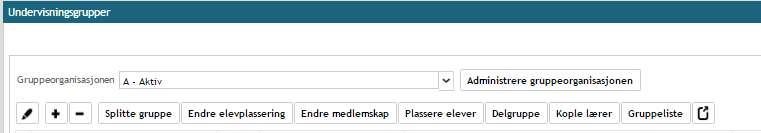 Gruppeorganisasjon - 3 Muligheter i en aktiv gruppeorganisasjon i administrasjon (inneværende skoleår) opprette gruppe Splitte gruppe Endre elevplassering Endre medlemskap Plassere elever Delgruppe