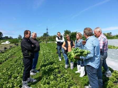 VEIEN VIDERE Hvordan kan vi bruke det vi har lært i FriskSalat ved produksjon av salat og andre grønnsaker Integrert