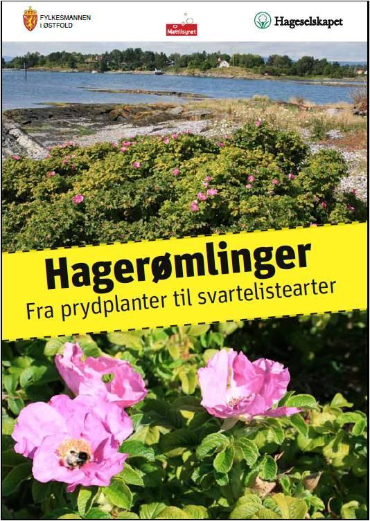 Virksomheten skal så langt mulig drive komposteringsprosessen,