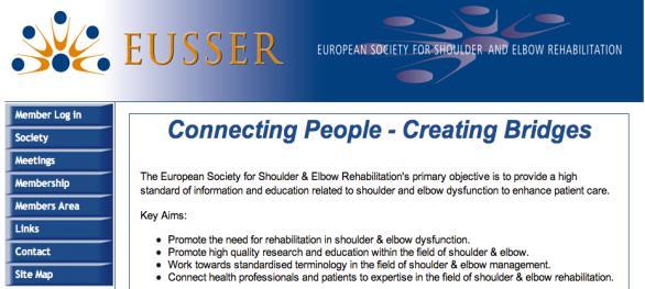 2009; 91:966-78 Borsa et al: Mobility and Stability Adaptions in the Shoulder of the Overhead Athlete Sports Med.