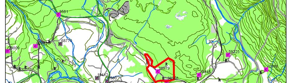 BAKGRUNN FOR PLANEN: Området er tidligere uregulert men det er i Bø kommunes areal plan 1995.