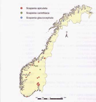 Biologisk mangfald viktig med kompetanse