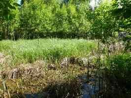 Trinn 1 Konstruert våtmark Trinn 1 Trinn 2 Trinn 3 Beskrivelse Prosess: Filtrasjon/ sedimentasjon/biologisk opptak Foto: COWI (2013) MULIGE YTELSER Vannbalanse ANTATT RENSEEFFEKT Partikler Variabel