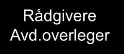 Rådgiver BFK