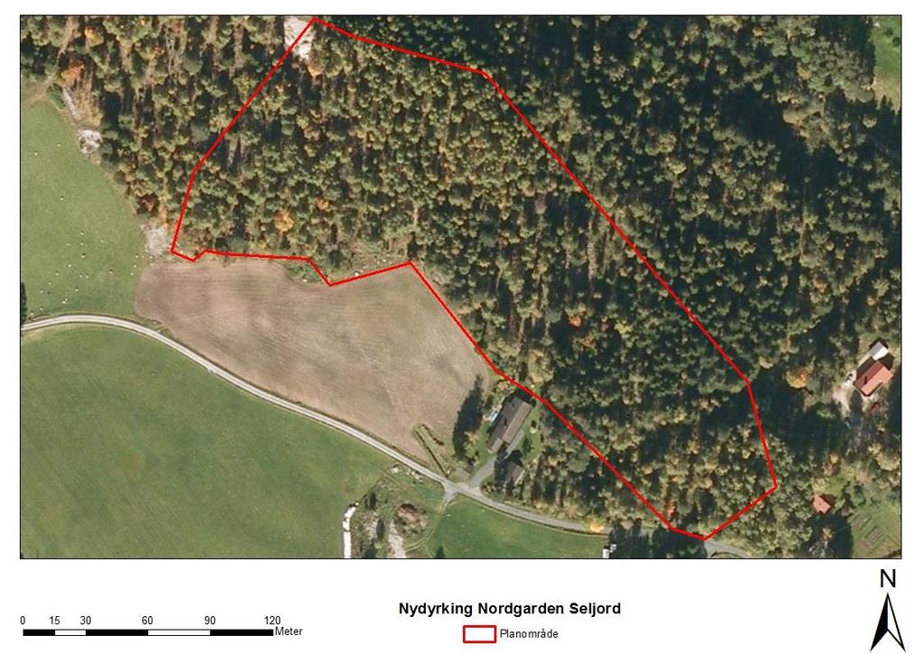 TERRENGET Hele planområdet fremstår i dag som skog, som delvis er plantet gran, delvis naturlig oppvokst