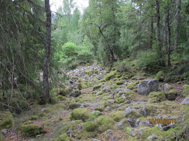 Stedvis virker det som om undergrunnen består hovedsakelig av stein.