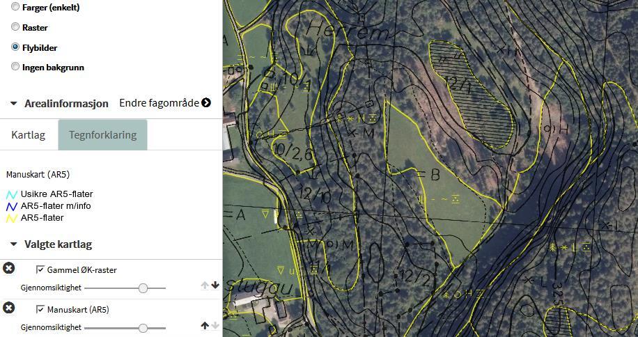 Tegnforklaring Manuskart : Gul strek: «Vanlige» flater.