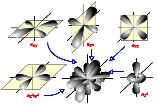 Biologiske makromolekyler 4 hovedtyper Kovalent Ionisk Hydrogen van der Waals (kjemisk) (kjemisk)