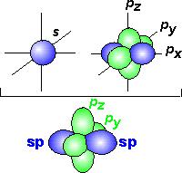 Sp hybridisering - Karbon (C) har 6 elektroner - 4 valenselektroner - antar energetisk like s og p-orbitaler 1s 2s 2p x 2p y 2p z Valensorbitalene