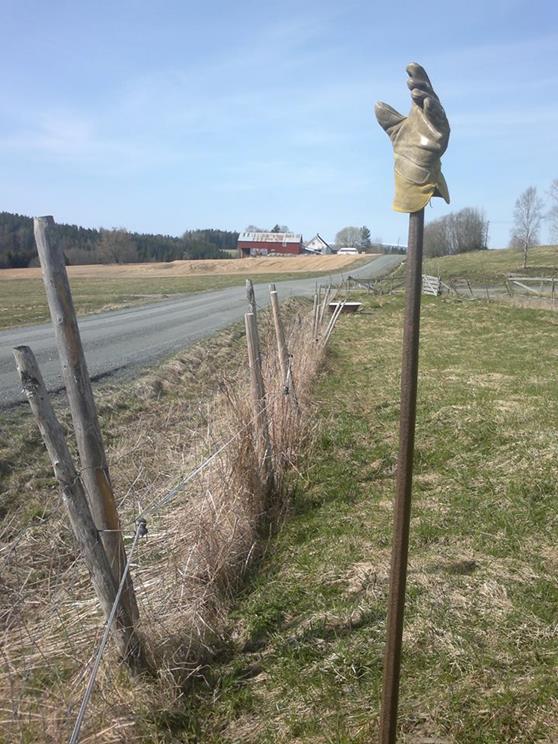 Uførepensjon Bønders risiko for uførepensjon fulgte en sosioøkonomisk gradient i helse («midt på treet») Bønder som hadde symptomer på angst i HUNT2 (1995-1997) hadde 51% høyere risiko for å få