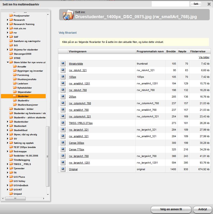 Bruke innholdsmalene Oversikt over bildevarianter som automatisk genereres når et bilde er lastet opp i multimediaarkivet i CorePublish: Skjermdumpen under er slik det ser ut når du har lett frem