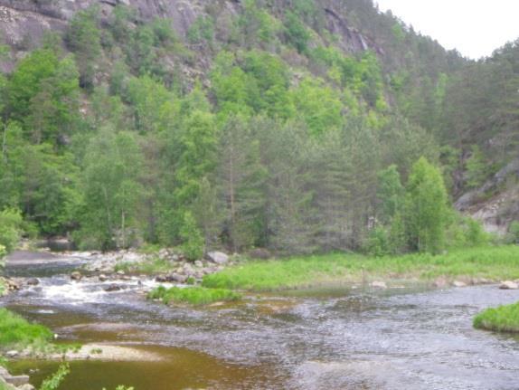 tiltaksområde ved bilcrossbanen.