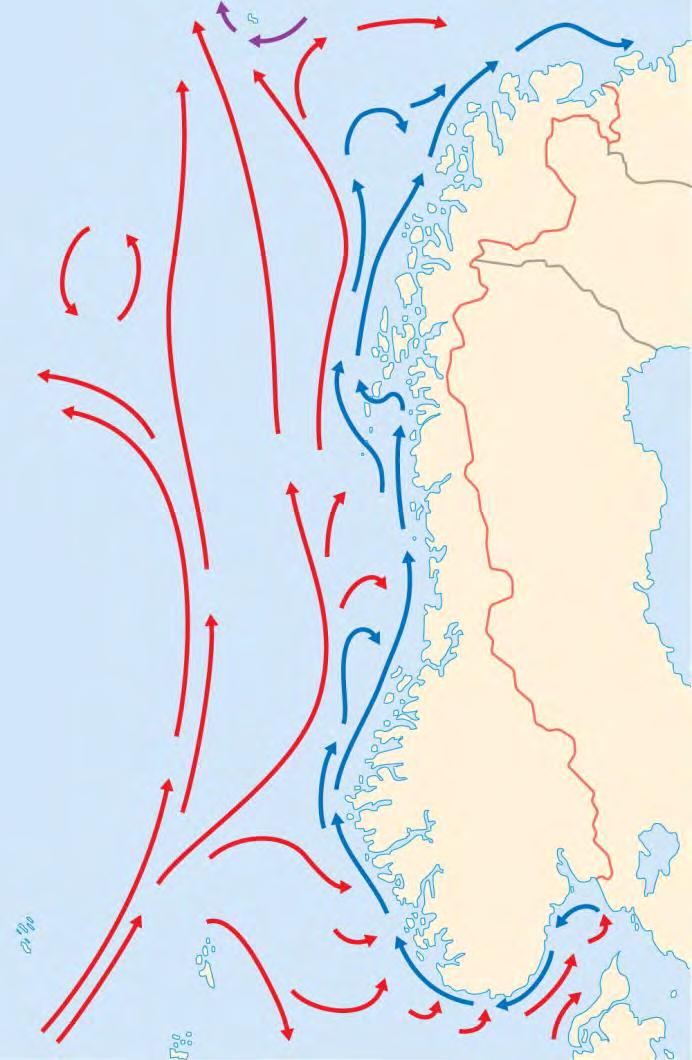 Hvorfor havbruk langs norskekysten?