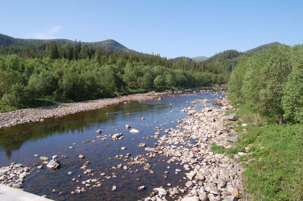 Figur 60 Steinsdalselva Verdier i Hofstadelva Hofstadelvas nedbørfelt inneholder et bredt spekter av landskapstyper fra karrig fjell- og heilandskap til frodigere, grunne dal- og jordbrukslandskap.