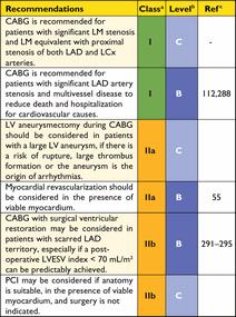 Recommendations on revascularizations in patients with chronic heart failure and systolic LV dysfunction